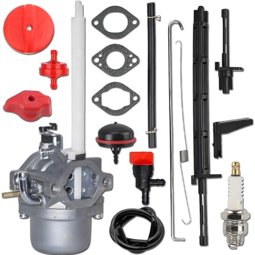 Carburateur 796122 pour moteur 20A114 assurant un démarrage stable