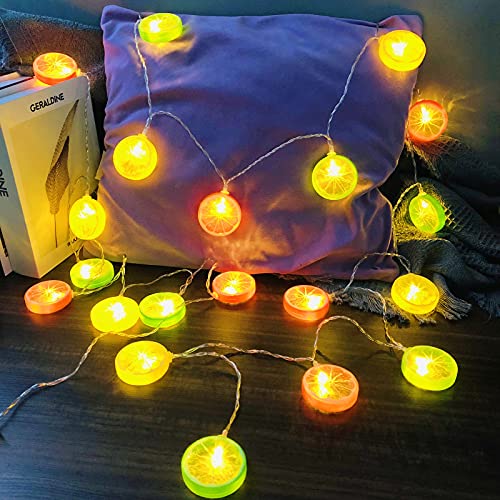 Riaxuebiy Lemon Slice Decor Lights Lemon Green Leaf Vine Fairy Lights 3M 20LED USB Powered Fruit Garland Lamp for Kitchen Patio Fence Camping Holiday Party Summer Decoration (Mixcolor Lemon)