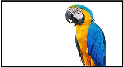 Yamyannie Accessories 72 Inch Projector Screen