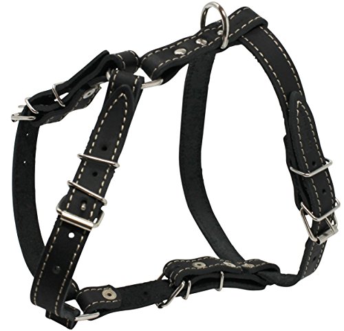 Real Leather Dog Walking Harness Medium Black, 21″ – 26″ Chest Real Leather Dog Walking Harness Medium Black, 21″ – 26″ Chest