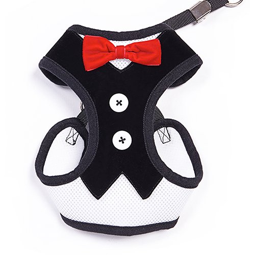BINGPET Velvet Red Bowtie Gentleman Suit Boy Dog Tuxedo Harness Vest for Dogs with Handle Large