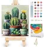 Diamond Painting Fan House