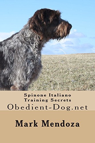  Spinone Italiano Training Secrets: Obedient-Dog.net