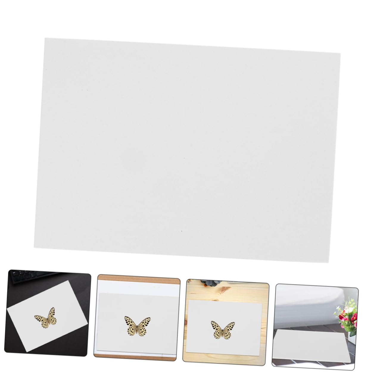 GARVALON Butterfly Pinning Board Specimen Display Butterfly Wing Board Fixation Supplies