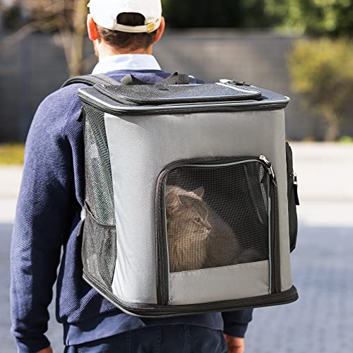 Navaris Rucksack für Hund Katze gepolstert - Hunderucksack Katzenrucksack mit Bauchgurt - 41x34,5x43cm Haustier Backpack faltbar - Traglast bis 12kg