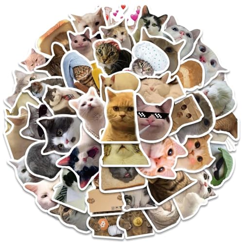 Image of 108+PCS Funny Cat Stickers - Waterproof Cute Meme Cat Vinyl Decals for Laptop, Wall, Phone, Car, Journal & More | Aesthetic Cat Stickers Set for Kids, Teens & Cat Lovers