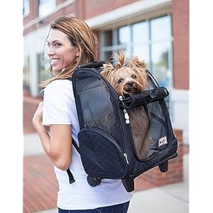 Snoozer-Roll-Around-4-in-1-Pet-Carrier-Black-Medium - Cucciolini Doodles Snoozer-Roll-Around-4-in-1-Pet-Carrier-Black-Medium