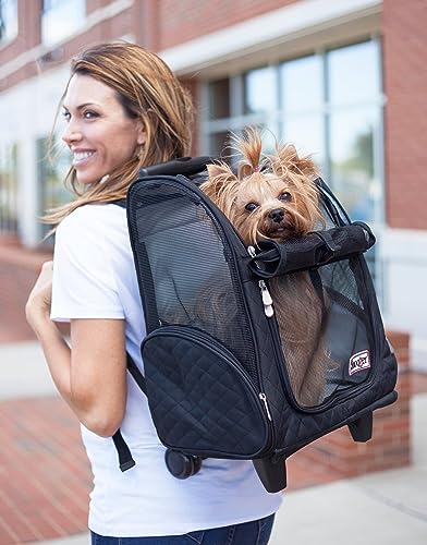 Snoozer-Roll-Around-4-in-1-Pet-Carrier-Black-Medium - Cucciolini Doodles Snoozer-Roll-Around-4-in-1-Pet-Carrier-Black-Medium