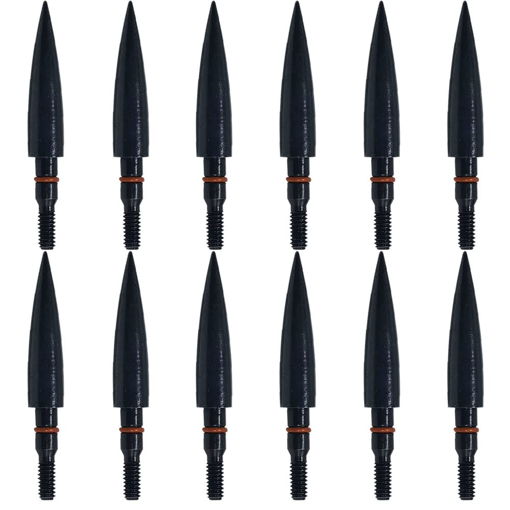 Field Points arrowheads 100/125/150/200/300 Grains Archery Field Points, Steel Screw in Archery Field Tips and Broadheads (1 Dozen 12 PCS)