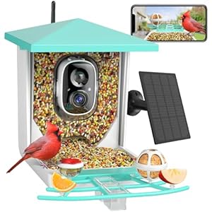 Smart Bird Feeder with Camera, 1080P AI Identify 10000+ Bird Species Humingbird Feeder with 5000mAh Battery Solar Charging Auto Capture Motion Detection App Notif Bird Watching Gifts for mom