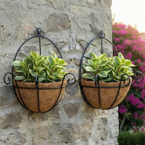 2 Vasos Cesto Parede Suspenso Fibra Coco Natural Planta Suporte Flor Orquidea