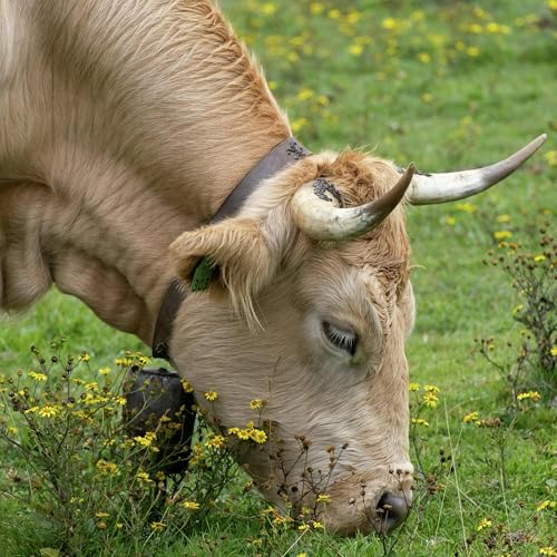 Party for Two with Bob Richardson | Ford Backs Carney's Auto Strategy | Martyn Burke&rsquo;s New Novel | Telescopic Tuesday | Neighbour Dilemma