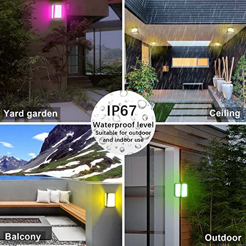 Appeck 16W Outdoor Porch Light, 2 Pack Modern Wall Lamp Ip67 Waterproof Wall Sconce, Rgbcw 16 Million Colors Exterior Wall Light Fixture For Garage Walkway Backyard Garden #TOP6