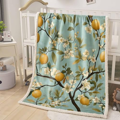 Vandaluuki ѕz {A  ~p Ђ| |zc ӂӂ ۉ y g _炩G 􂦂  ƒp \t@[ xbh ItBXp uPbg c   FobN 150×200cm