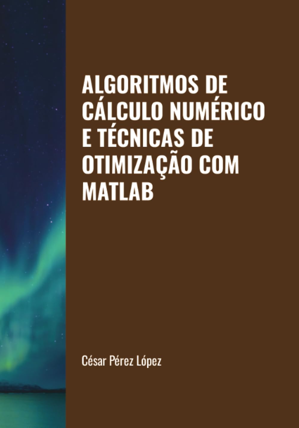 ALGORITMOS DE CÁLCULO NUMÉRICO E TÉCNICAS DE OTIMIZAÇÃO COM MATLAB