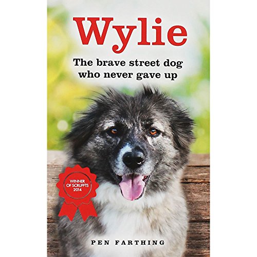 Wylie - The Brave Street Dog Who Never Gave Up