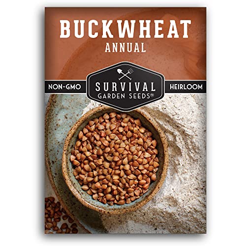 Buckwheat Seed for Planting - 1 Packet with Instructions to Plant & Grow a Cover Crop & Buckwheat Grain Plants in Your Home Vegetable Garden - Non-GMO Heirloom Variety - Survival Garden Seeds