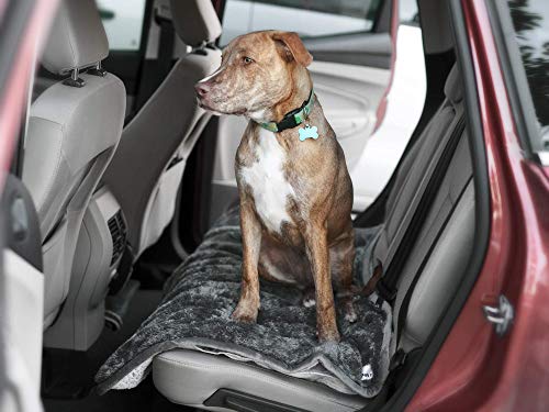 Pet Parents Pawtect Blanket, Premium Waterproof Cat & Dog Blanket With Wickquick & Sherpup Technology, Puppy Blanket, Waterproof Dog Blanket, Blankets For Dogs, Cat Blanket Slate 50X60 #TOP5