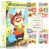 jeu montessori nature et decouverte Jeux éducatifs actifs : en plus de passionnantes chasse au trésor en plein air, les enfants apprennent à connaître les couleurs, les formes, les chiffres et les lettres grâce à des tâches supplémentaires. Cela favorise la créativité et l'esprit d'exploration tout en améliorant la concentration, l'intelligence émotionnelle et la perception de soi.