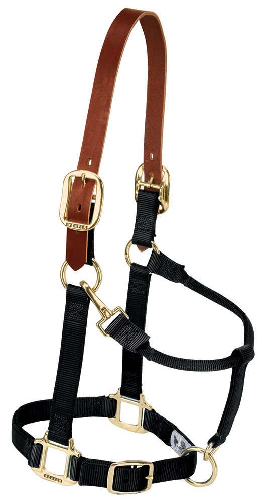 Weaver Equine Breakaway Horse Halter, Supple Leather Crown, Adjustable Chin & Throat Snap Halters for Horses, Equine Tack