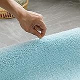 MIULEE Bathroom Rug Entrance Mat Shower Mat Non-Slip Tabis Absorbent Soft Microfibre Toilet Bath Tub Outlet Kitchen Living Room Bedroom Light Blue 40 x 60 cm - Image 5
