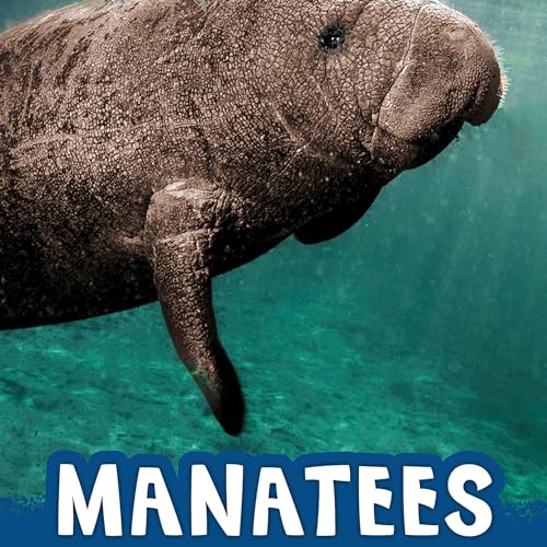 Manatees by Martha E. H. Rustad episode artwork