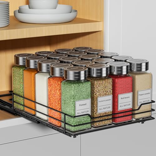 RCHYFEED Pull Out Spice Organization for Cabinet,8.5" Wx10.5 Dx2.5 H,1 Tier