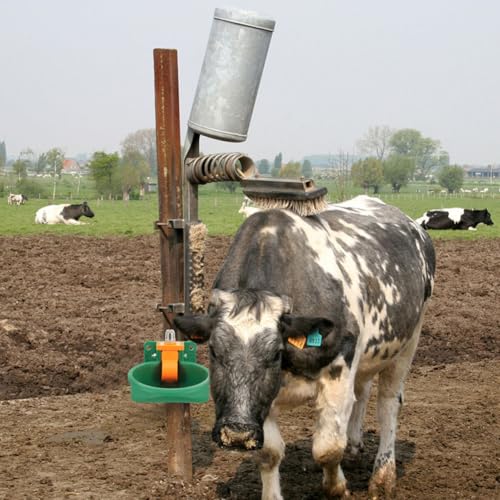 Bebedero automático para cabras y ganado con plástico verde resistente 6