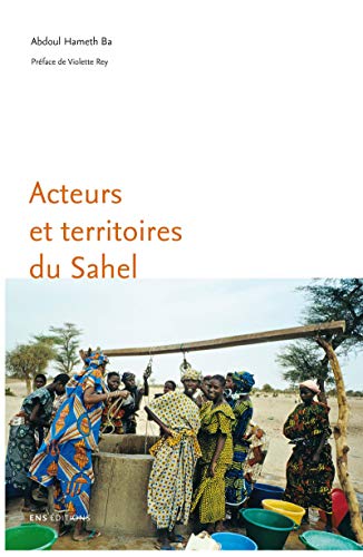 Acteurs Et Territoires Du Sahel Role Des Mises En Relation Dans La Recomposition Des Territoires Ebook Ba Abdoul Hameth Violette Rey Amazon Fr