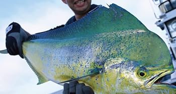 【希少品】アルファタックル オフショアロッド Amazon | アルファタックル(alpha tackle) (Alpha Tackle