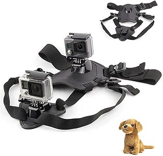 gopro dog harness amazon