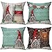 Zivisk Natale Gnomo Federe Cuscini Divano 45 x 45 cm Set di 4, Christmas Decorazioni Copricusciniper Interni, Casa, Ufficio, Divano, Camera da Letto, Regalo di Decorazioni per Le Vacanze Invernali