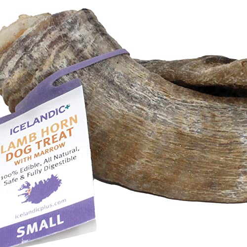 Unleash the Secrets of Icelandic Lamb Horn Marrow Top 10 Products