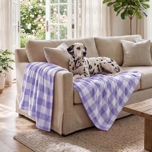 Image of BEDELITE Plaid Fleece Throw Blanket, Purple & White Buffalo 60x80 Inches