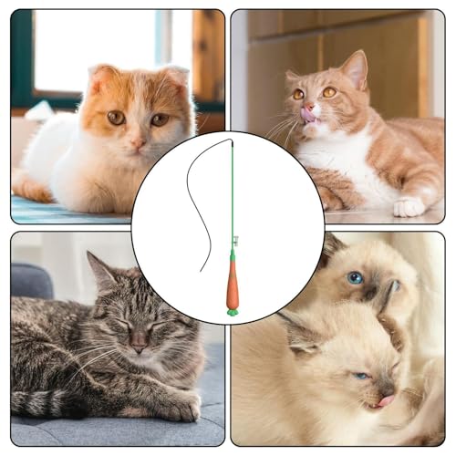 Canne à pêche pour chat ludique stimulation et ennui