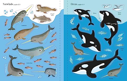 First Sticker Book Narwhals (First Sticker Books) - Image 3