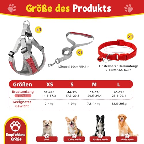 3 Stück Hundegeschirr und Leine Set, Verstellbares Brustgeschirr, Reflektierendes atmungsaktives Hundegeschirr mit D-Ring, Hundegeschirrs Set für Welpen, Kleine Hunde