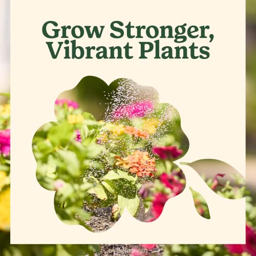 Miracle-Gro Shake 'N Feed All Purpose Plant Food, 1 lb. | Outdoor and Indoor Plant Food for In-Ground and Containers, Feeds for up to 3 Months - image 6