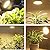 MILYN 2 Pack 100W Led Grow Light Bulb, Pure Warm Full Spectrum Grow Lights for Indoor Plants, E26 Grow Bulb for House Garden Hydroponics Succulent Seed Starting, Growing, Flower| 150LEDs Lamp