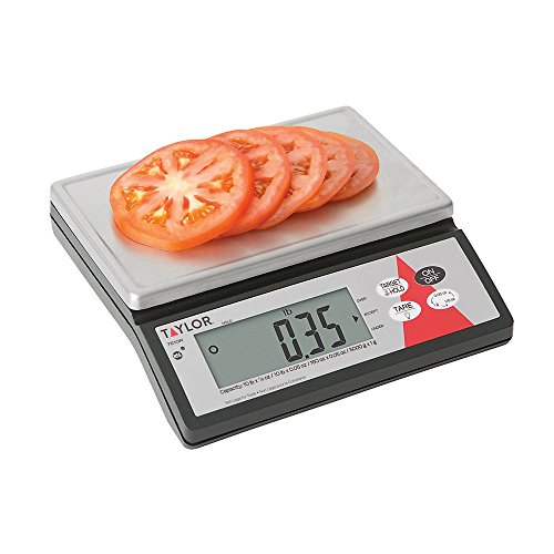 Taylor Precision Te10R Digital 10 Lb. Portion Scale With S/S Platform #TOP1