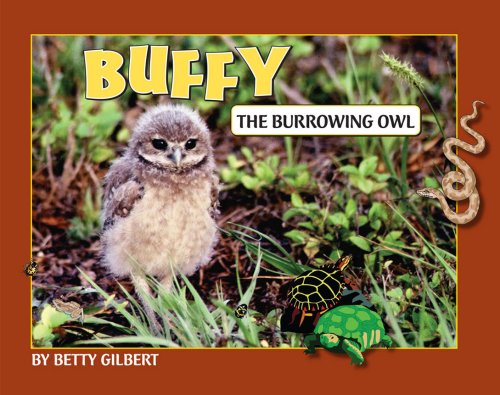 Buffy The Burrowing Owl