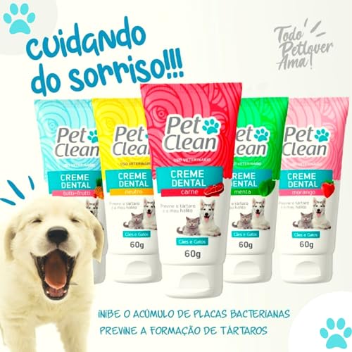 Pasta De Dente Cães Gato Gel Dental Pet Clean Carne 60g
