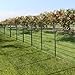 Amagabeli 1M X 25M Gartenzaun Zaun PVC-beschichteter 100 x 50mm 2.1 mm Drahtzaun Maschendraht Wildzaun/Hundezaun Rostfrei Zaunelemente Grünen Maschenweite Drahtgitter Kaninchendraht Forstzaun