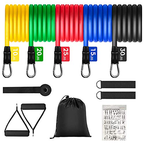 BAODANTECH Exercise Bands Set - with 5 Resistance Bands up to 100 lbs, Door Anchor, Handles, Waterproof Carry Bag, Legs Ankle Straps - for Resistance Training, Physical Therapy, Home Workouts (100)