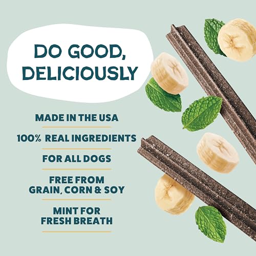 Image of Shameless Pets Bone Broth, Banana, & Mint Dental Chews for Dogs, 32 Chews - Natural Dog Teeth Cleaning Treats with Fresh Breath Benefits | Grain-Free Dental Sticks for Small, Medium & Large Dogs