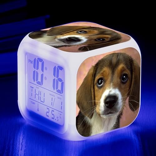 PPPJYYSGA/V킢JtȐFύXnIȖڊo܂vCLEDL[uLCDNbNCgtqڊo܂vaqxbh[p(Color-6)