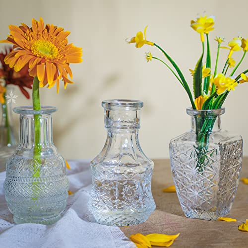 Inftyle VASE-2 Glass Vase Bud Vases In Bulk Set Of 12, With 8 Glass Stoppers,Small Vases For Flowers,Embossed Clear Flower Vase,Vintage Glass Bottle Great thumb #5