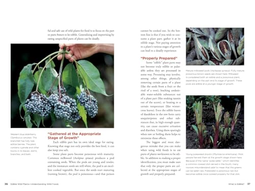 Edible Wild Plants: Wild Foods From Dirt To Plate (The Wild Food Adventure Series, Book 1) - Thumbnail 3