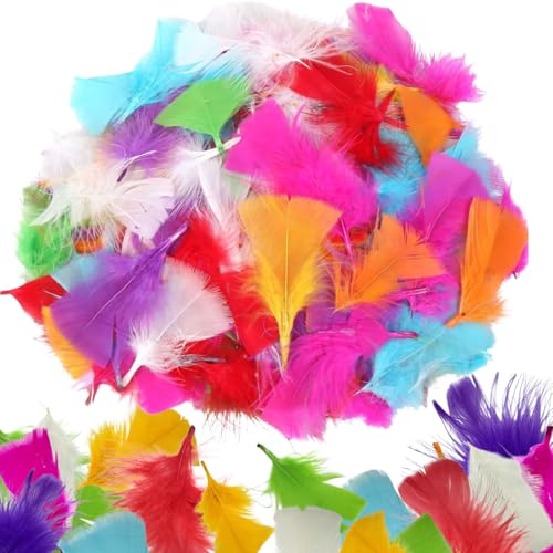 Coloured Feathers for Crafting 300 Small Craft Feathers for Children