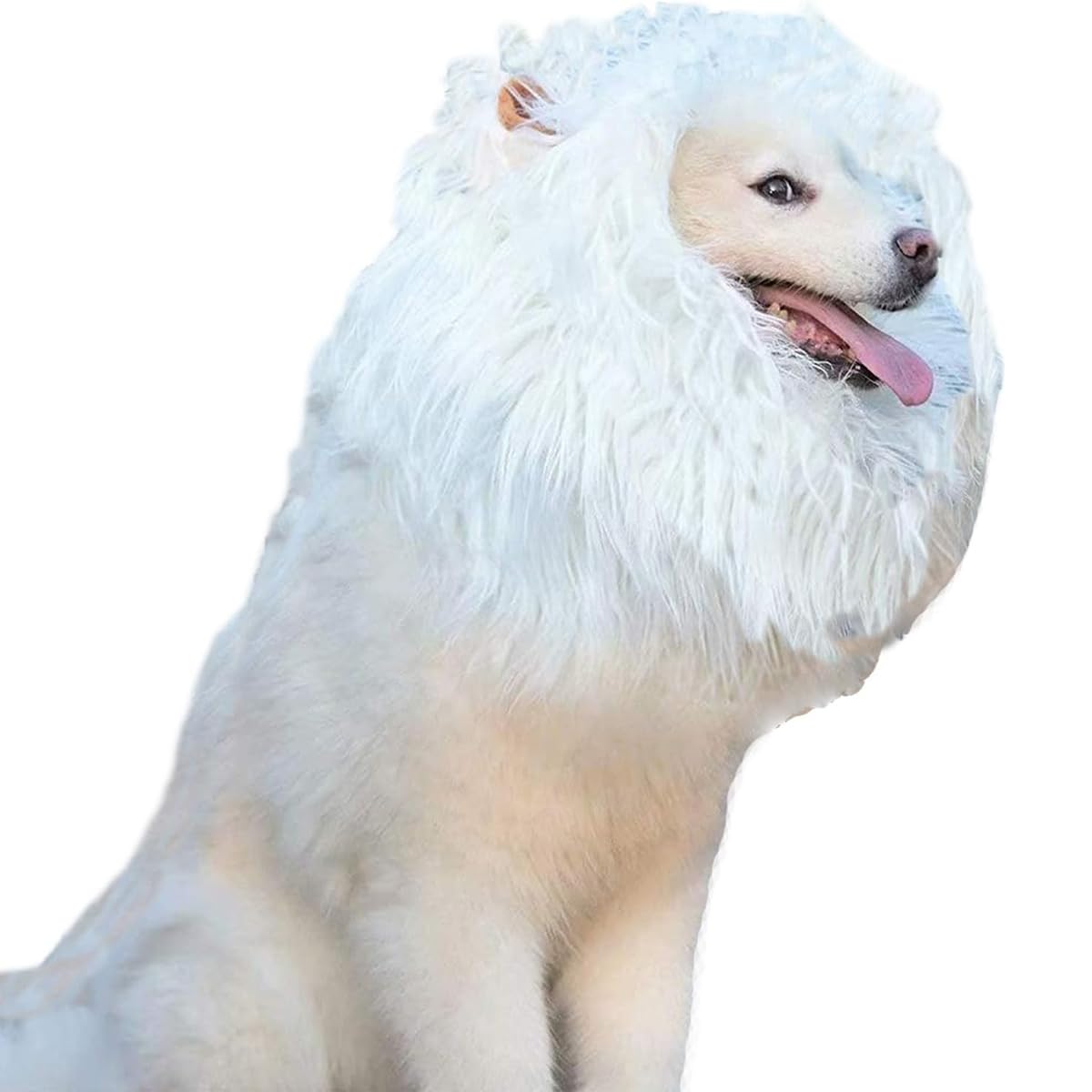 EHOTER Dog Lion Mane Costume Lion Mane for Dog Wig Adjustable Dog Halloween Costumes with Ears Dog Lion Mane Costumes for for Medium and Large Dogs Dog Halloween Costume (M,White)